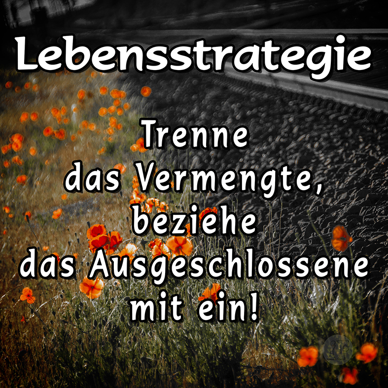 Gedanken am Wegesrand