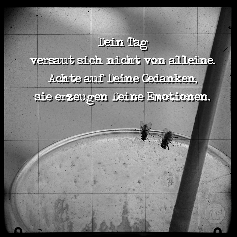 Gedanken am Wegesrand